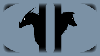 Dragonwolf Design logo
