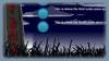 Flash site